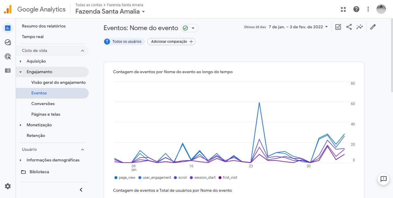 Marketing Hoteleiro - Google Analytics